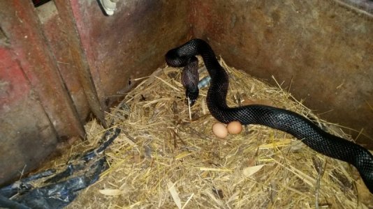 20150910_113753.jpg 20150910_113753.jpg