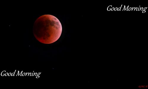 BloodMoon2.jpg