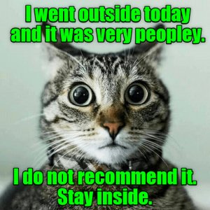 CatPeoply.jpg