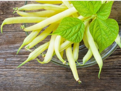 yellow-wax-bean.jpg