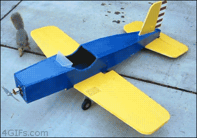 squirrel pilot.gif