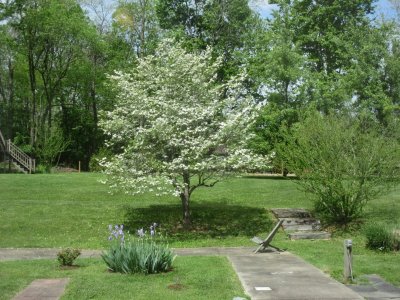 2022-04-11 00.24.00.jpg