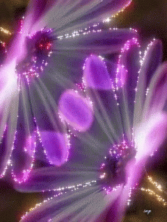 purple-flowers (1).gif