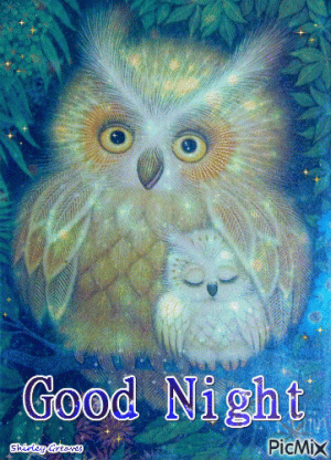 378288-Magical-Good-Night-Owl-Gif.gif