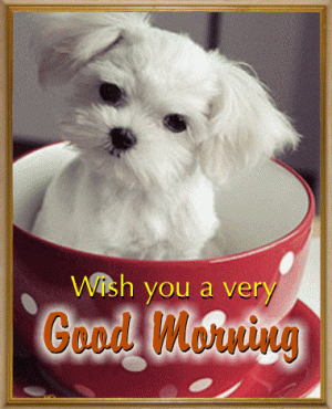Doggy Says Good Morning!.gif