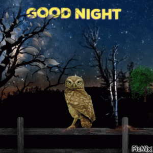 7915561_04e50.gif