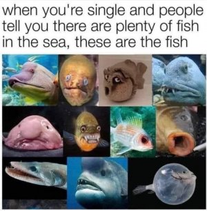 097EF252-553C-427A-B6CB-061E127B9ECE.jpeg