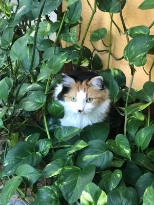 IMG_0924.jpeg