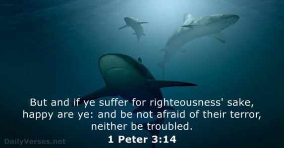1-peter-3-14-2.jpg 1-peter-3-14-2.jpg