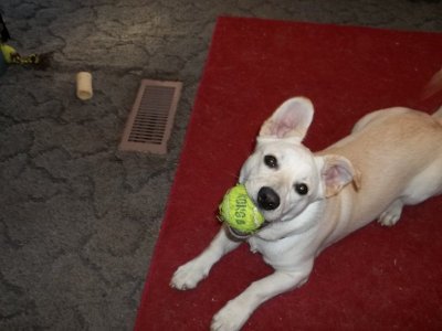 100_0567.JPG 100_0567.JPG