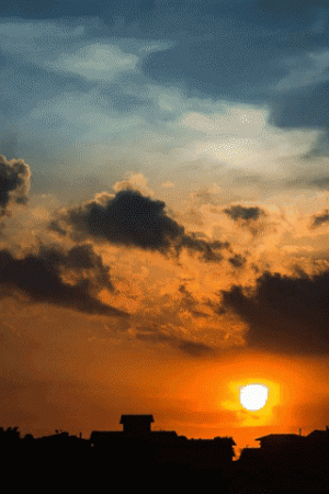 giphy-3.gif