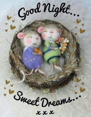 1d81fcf6ddd5d63abac28e6f2241cbb4[1].jpg
