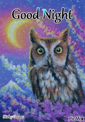 7127385_6c503.gif