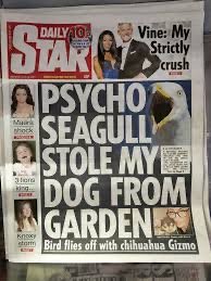 CAA2B791-B43B-4BED-9925-4B8E4077F306.jpeg CAA2B791-B43B-4BED-9925-4B8E4077F306.jpeg