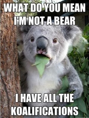 Funny-pictures-of-animals-23.jpg