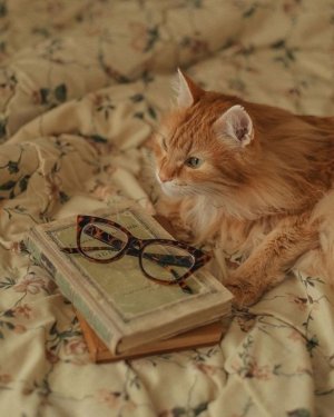 tumblr_05f35fd13c2317295cf6d4e39b4b493f_f309386d_1280.jpg