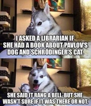 278396290_10228057689771979_7468210785447543492_n.jpg
