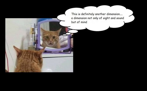 important-animal-images-funny-pics-144-6065a691b5e31__605-768w[1].jpg