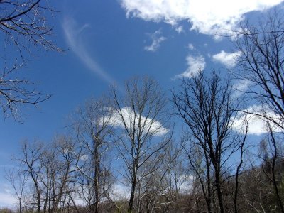 walk5.JPG