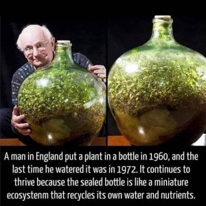 interestingfacts053022.jpg