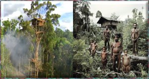 Korowai Tribe.jpg Korowai Tribe.jpg