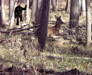 bigfoot-bkg.JPG