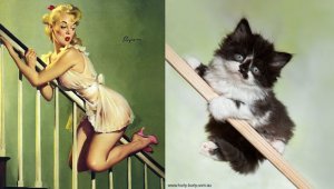 cats-pin-ups-8.jpg
