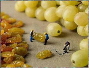 how grapes are made.jpg