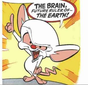 brain.jpg