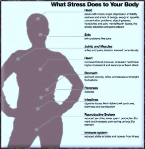stress4.jpg
