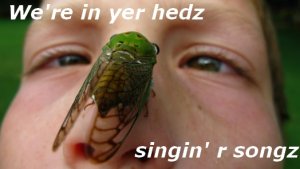 Cicada1.jpg Cicada1.jpg
