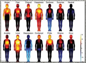 emotions via m.jpg emotions via m.jpg