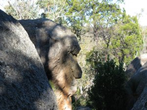 IMG_0336.jpg