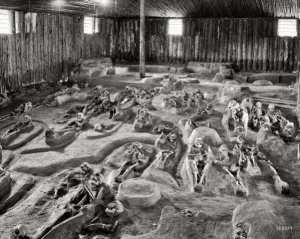 Timucua-burials-in-St-Augustine-FL-sm.jpg Timucua-burials-in-St-Augustine-FL-sm.jpg