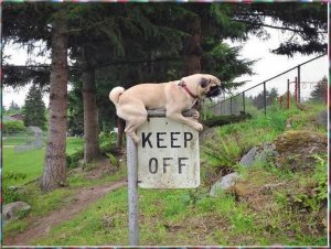 keep off.jpg