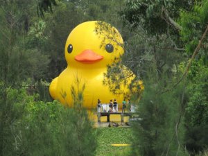 rubber duckie 018.jpg