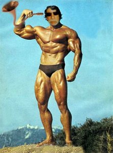 Me-as-Arnold.jpg