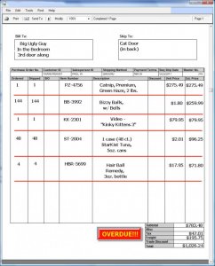 bank statement 2.jpg
