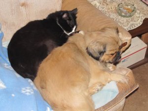 Sleeping With The Enemy 001.JPG