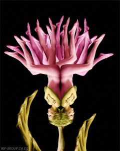 people flowers17.jpg people flowers17.jpg