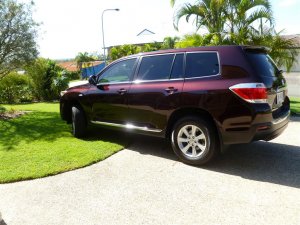 P1010938 (Medium).JPG