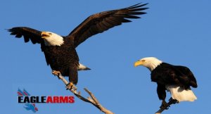 eagle-arms.jpg