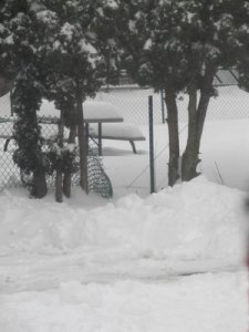 Snow 002.JPG