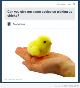 How-to-Pick-Up-Chicks.png