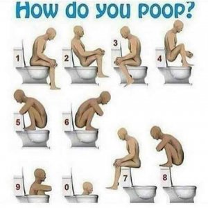 poo.jpg