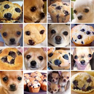 dog-food-comparison2.jpg