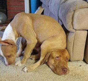 personal space 3.jpg