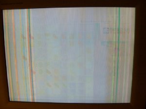 FP screen.jpg