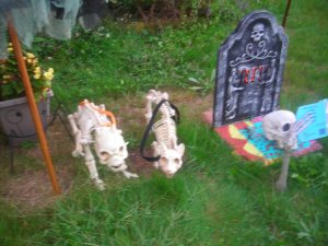 Halloween 016.jpg