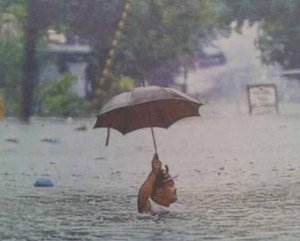 umbrella.jpg